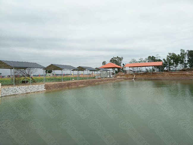 樹脂瓦休閑亭構(gòu)建“歡樂魚塘”，垂釣烤魚忙不停！