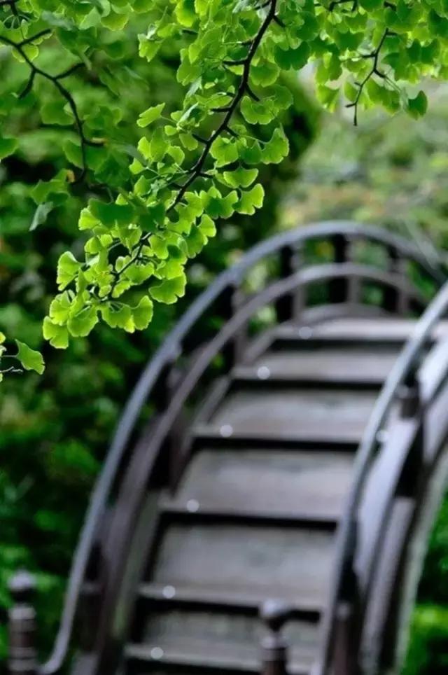 這樣的院子，只有中國人駕馭得了它！