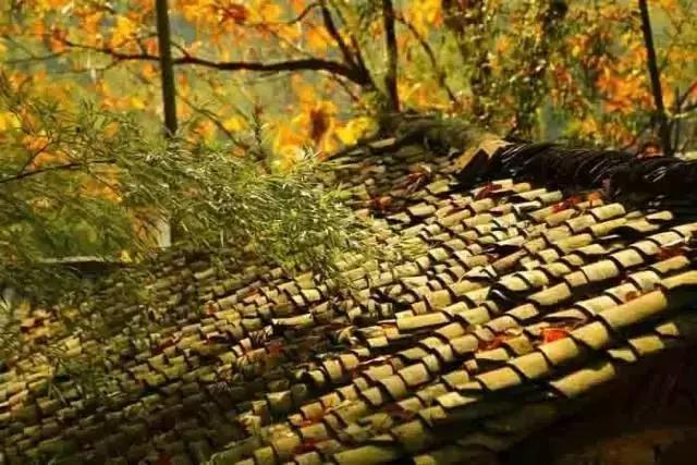 這樣的院子，只有中國人駕馭得了它！