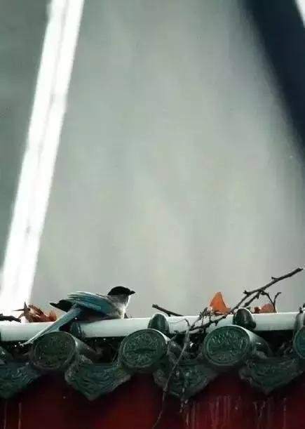 這樣的院子，只有中國人駕馭得了它！