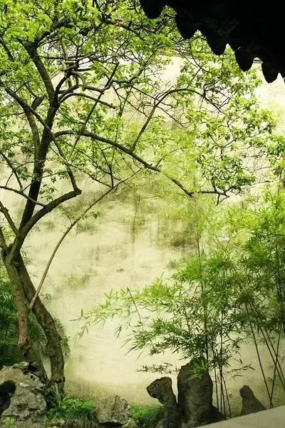 這樣的院子，只有中國人駕馭得了它！